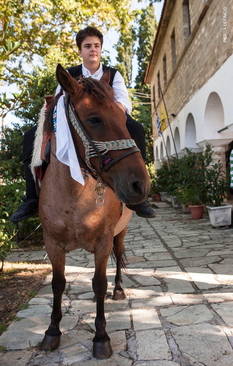 Πηλιορείτικος Γάμος 2018