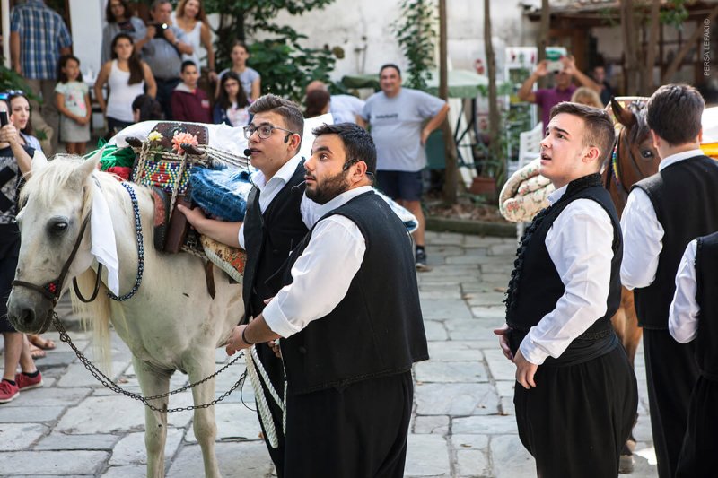 Πηλιορείτικος Γάμος 2018